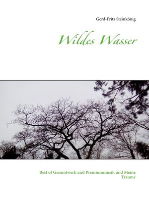 cover image of Wildes Wasser
